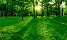 九游娱乐官方网站-绝杀之夜，斯通斯用一记绝命长传完成自我救赎