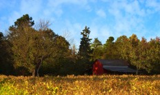 9you娱乐-欧冠夜的双重奏，拜仁碾压丹麦黑马，格列兹曼领袖光芒照亮马竞胜利