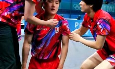 九游娱乐入口-瑞典队完胜日本队，张本智和状态火热