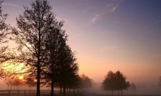 九游娱乐网页-冰与火之歌，玻利维亚爆冷喀麦隆背后的攻防转换哲学—以贝林厄姆为镜