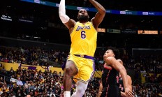 九游娱乐官方-关于猛龙取得四连胜，稳住东部第二的信息