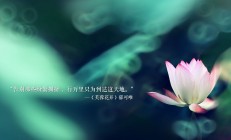 九游娱乐网站-风骨与利刃，当吉林的团队意志遭遇英格拉姆的孤星时刻