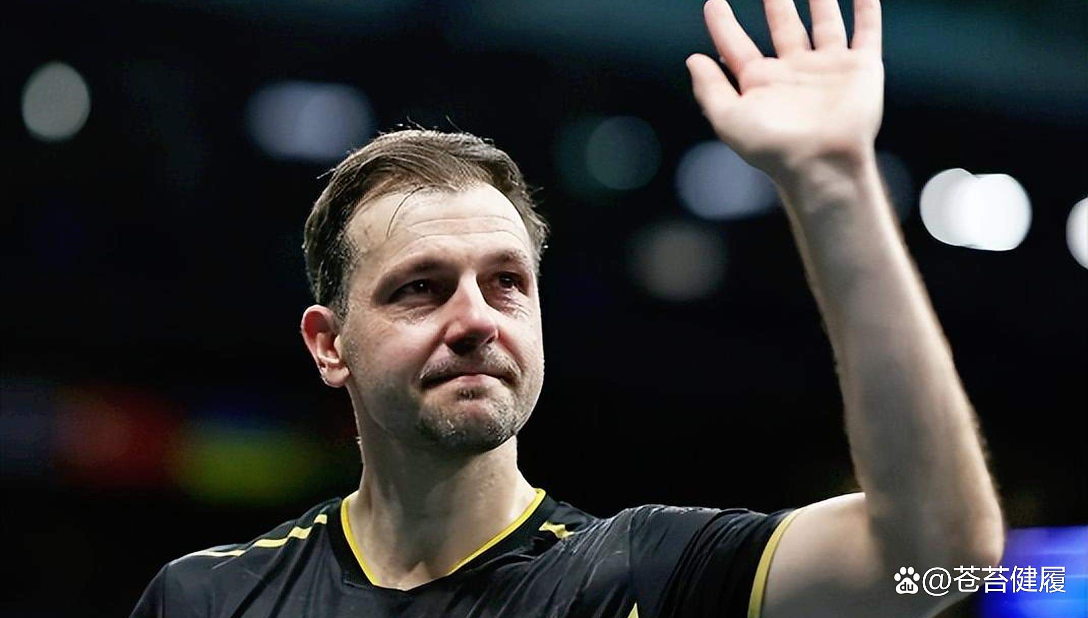 关于英国乒乓球队完胜韩国乒乓球队，波尔爆发神勇的信息