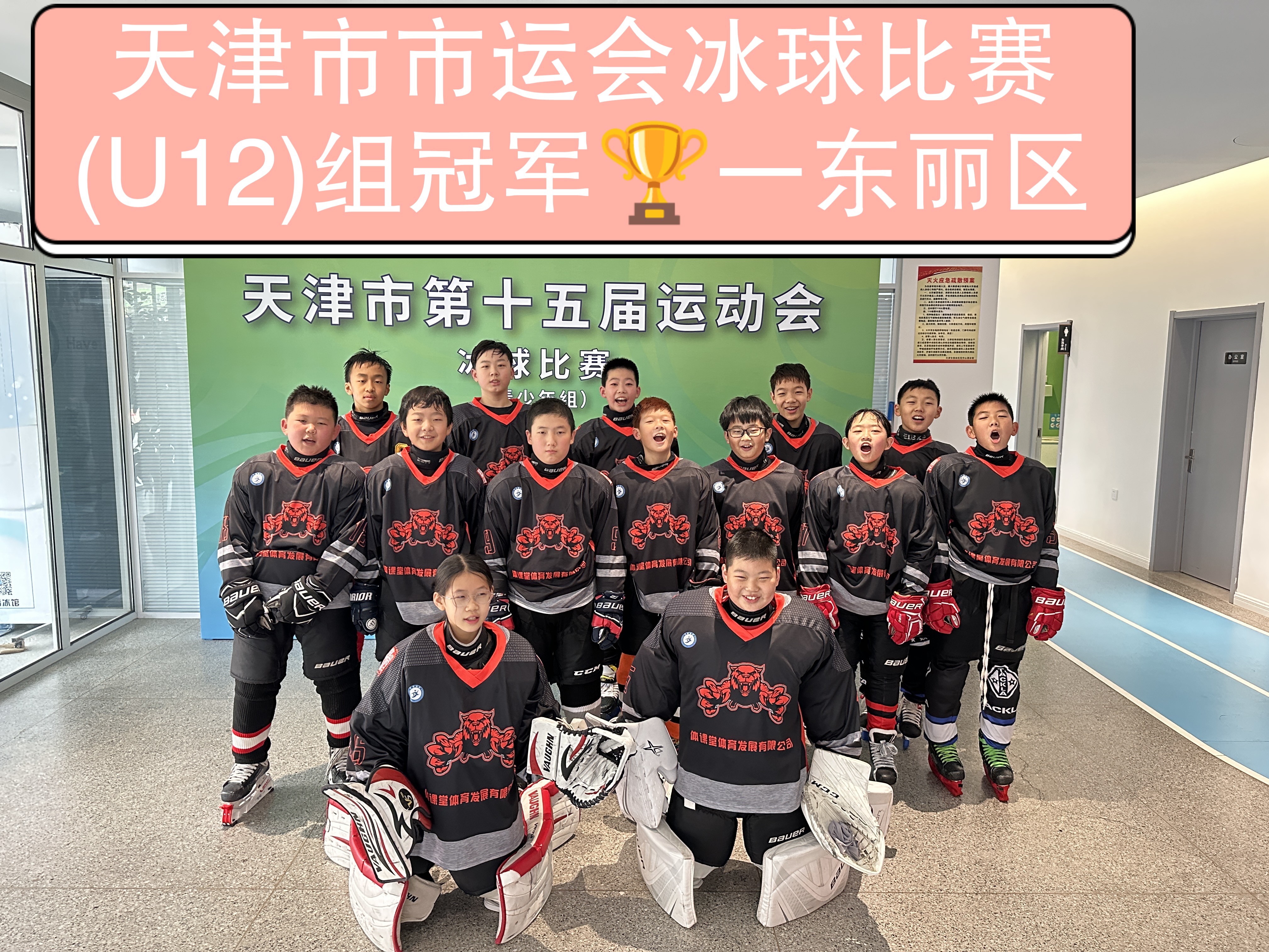 冰球再创历史，冠军实至名归的简单介绍