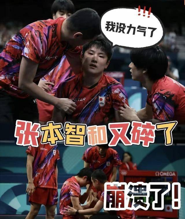 韩国队横扫奥地利队，张本智和高光表现