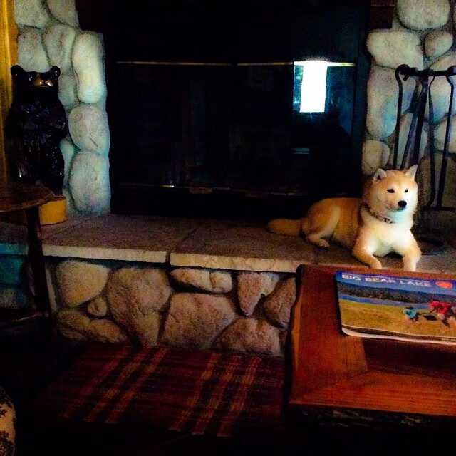 奇迹之夜，芬兰冰封智利与贝林厄姆的个人英雄主义