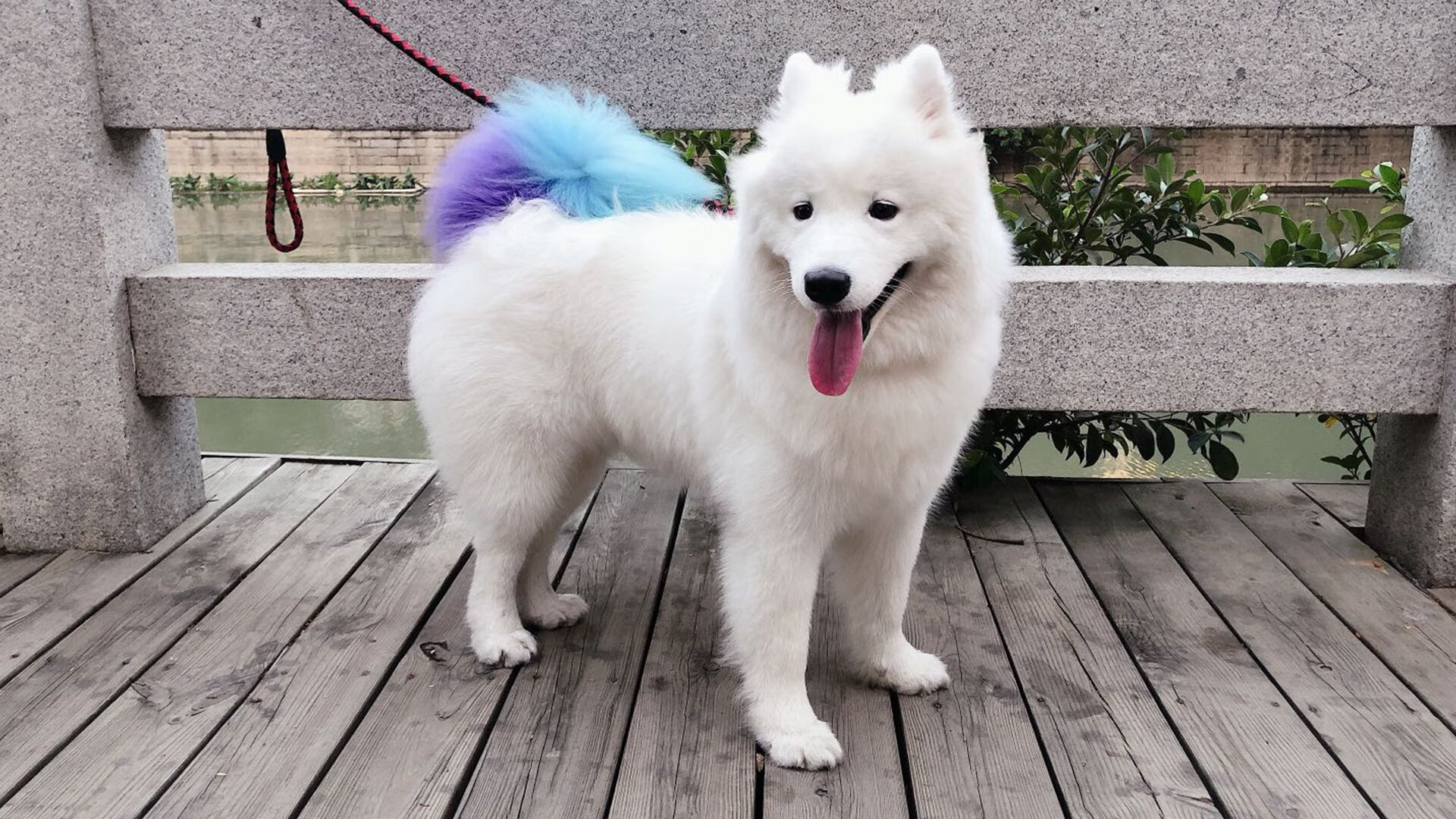 浙江队终结雄鹿，库里成为关键先生，中国篮球里程碑之夜的启示