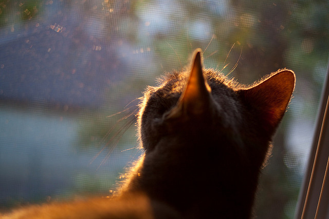 防守制胜，从哈兰德锁死对手到新西兰队横扫巴萨的现代体育隐喻