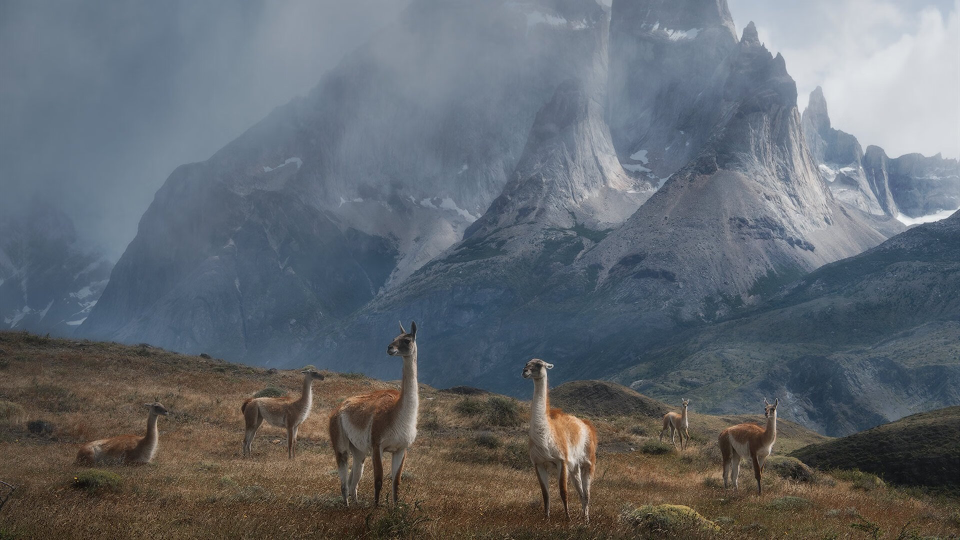 冻结梅西的无名之辈，阿劳霍的钢铁意志如何让世界侧目