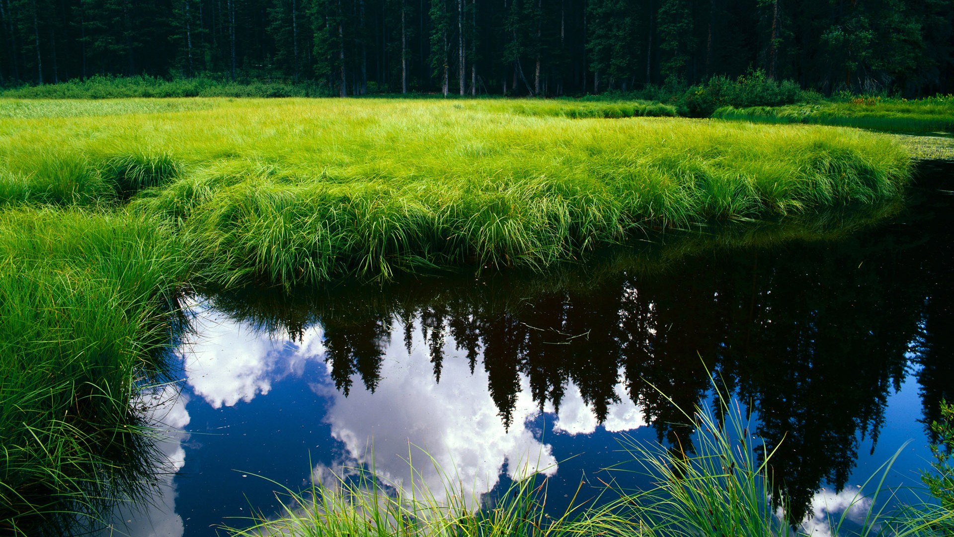 活塞淘汰猛龙欧文19+19封神！宿命对决铸就经典，控卫之神正名之战