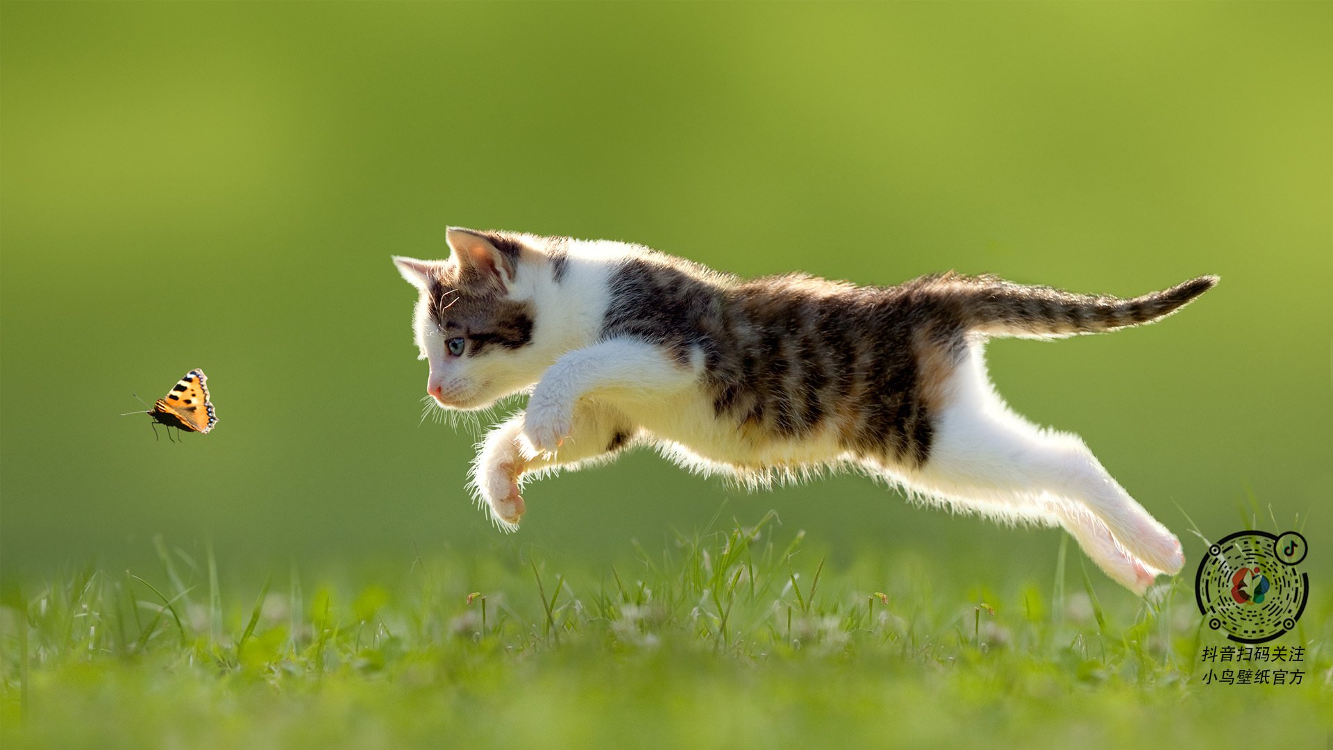 战术碾压与天才闪耀,当步行者的体系遇见东契奇的魔法